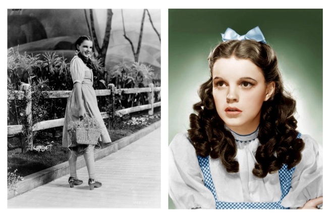  The Iconic "Wizzard Of OZ" Gingham Dress