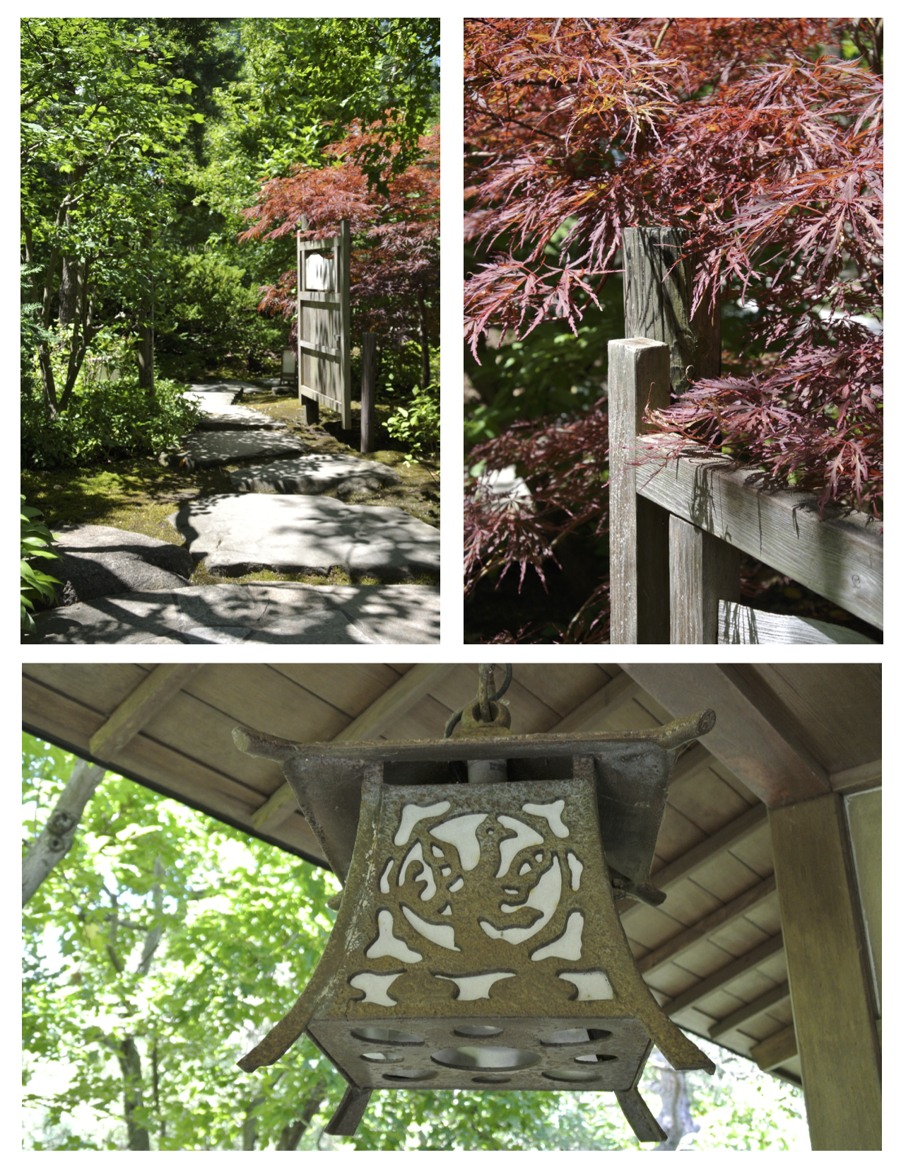Visual Delights:  The Anderson Japanese  Gardens Of Rockford, Illinois